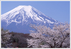 富士登山イベント風景